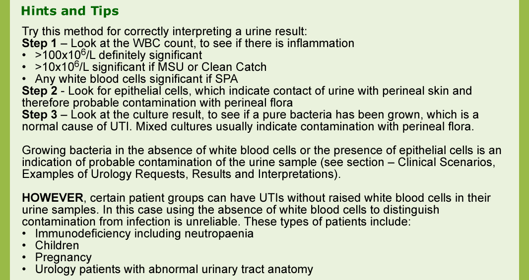 Hints & Tips - UTI - Intrepreting a urine