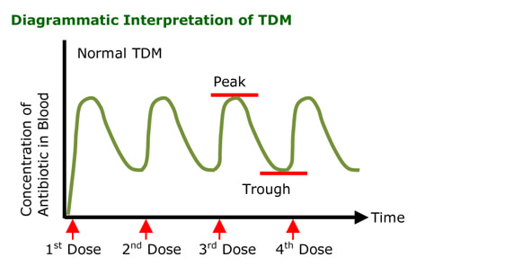 Diagrammatic interpretation of TDM