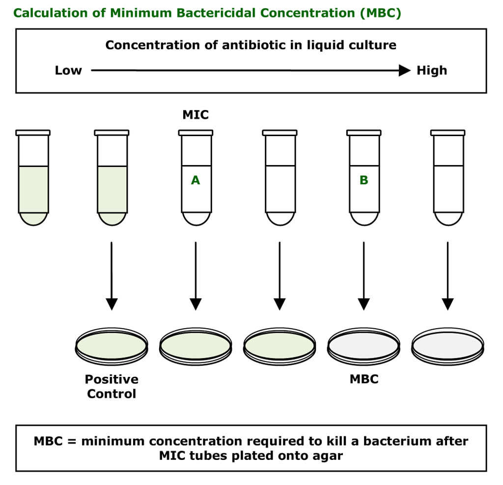 Antibiotics - MBC