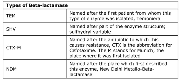 Types of Beta-lactamase