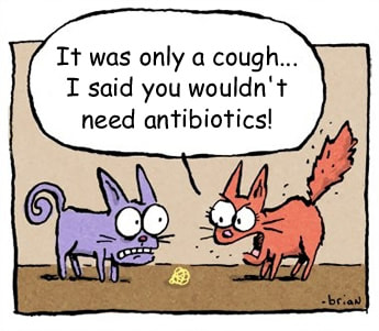 Delayed antibiotic prescribing in acute cough