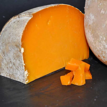 microbiology of cheese