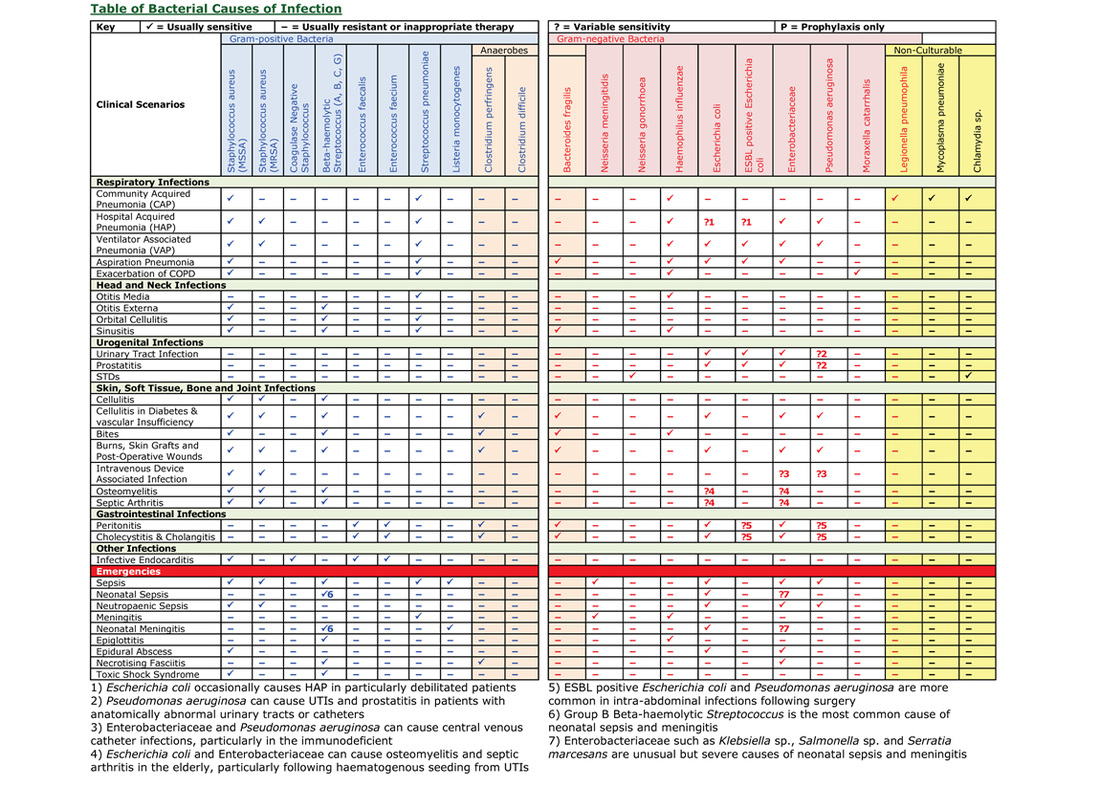 Table of Bacterial Causes of Infection